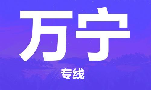 秦皇島到萬(wàn)寧物流專(zhuān)線(xiàn)-秦皇島至萬(wàn)寧貨運快捷高效的值得信賴(lài)